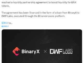 元宇宙链游 binaryx 宣布与 dwf labs 达成流动性凯发app的合作伙伴协议